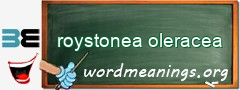 WordMeaning blackboard for roystonea oleracea